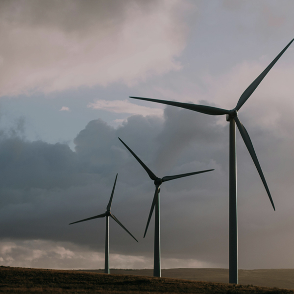 Solar Energy Solutions Company in India